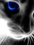 Kat S
