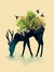 Mariam Hamad
