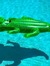 alligator
