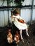 ilaria_emme