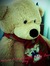 Nonsensical Teddybear