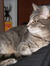 Terence