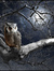 Moonlight Reader (only provides content to Booklikes)