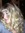 Teri Wilson | 3 comments