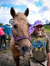 Equestrienne