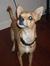 Crystal Marie (Crystal's Many Reviewers)
