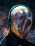 The Auricle