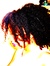 Tisha