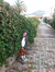Sinem