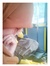 yuridistapp