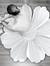 Hasnaa Hamdy