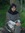 Syeda
