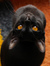 Delmy =^.^=