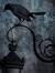 Of Death And Shadow