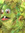 Scott (sgreco) | 232 comments