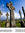 Charlton | 273 comments