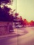 Tᴀʀᴀ Wᴏʟғᴘʀɪsᴍ ║▌║▌║ everyвody wanтѕ тo rυle тнe world ║▌║▌║