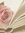 ✽Laurenj426✽