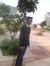 Saddam Khan