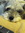 Bill | 3202 comments