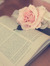 ندى الحائك