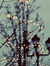 ♥Kel