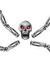 Skeletron Prime