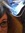 Chelsey