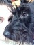Leonie