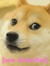 Arkbark27