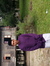 Sharulnizam Mohamed Yusof
