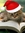 the_cat | 318 comments