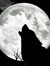 Dark Looney