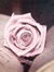 Beth