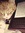 Elyse Schramm | 24 comments