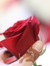 Manar