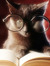 Camila, the Catruler