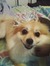 Jackie (fireandicebookreviews.blogspot.com)