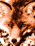 Gef