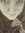 Michelle E. Kobus