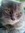 Ranee | 1651 comments