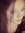 *•.♥.•*Sabrina Rutter*•.♥.•*