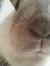 Abby
