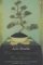 When The Emperor Was Divine (Paperback)