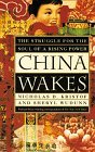 China Wakes: The Struggle For The Soul Of A Rising Power