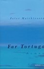 Far Tortuga Far Tortuga