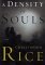 A Density of Souls (Hardcover)