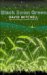 Black Swan Green (Hardcover)