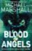 Blood of Angels (Paperback)