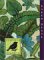 Aleutian Sparrow (Hardcover)
